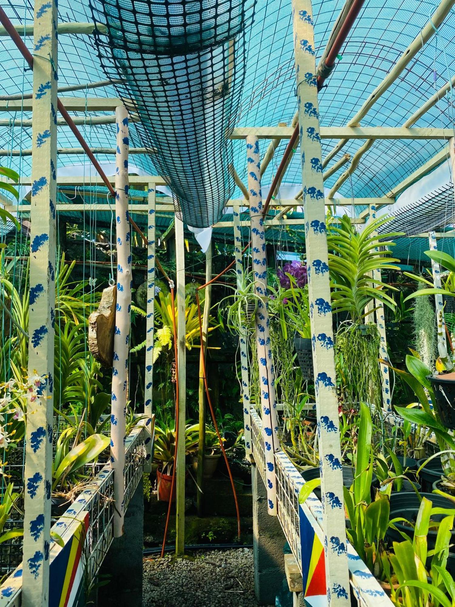 潜水员山林小屋住宿加早餐旅馆 博瓦隆 外观 照片