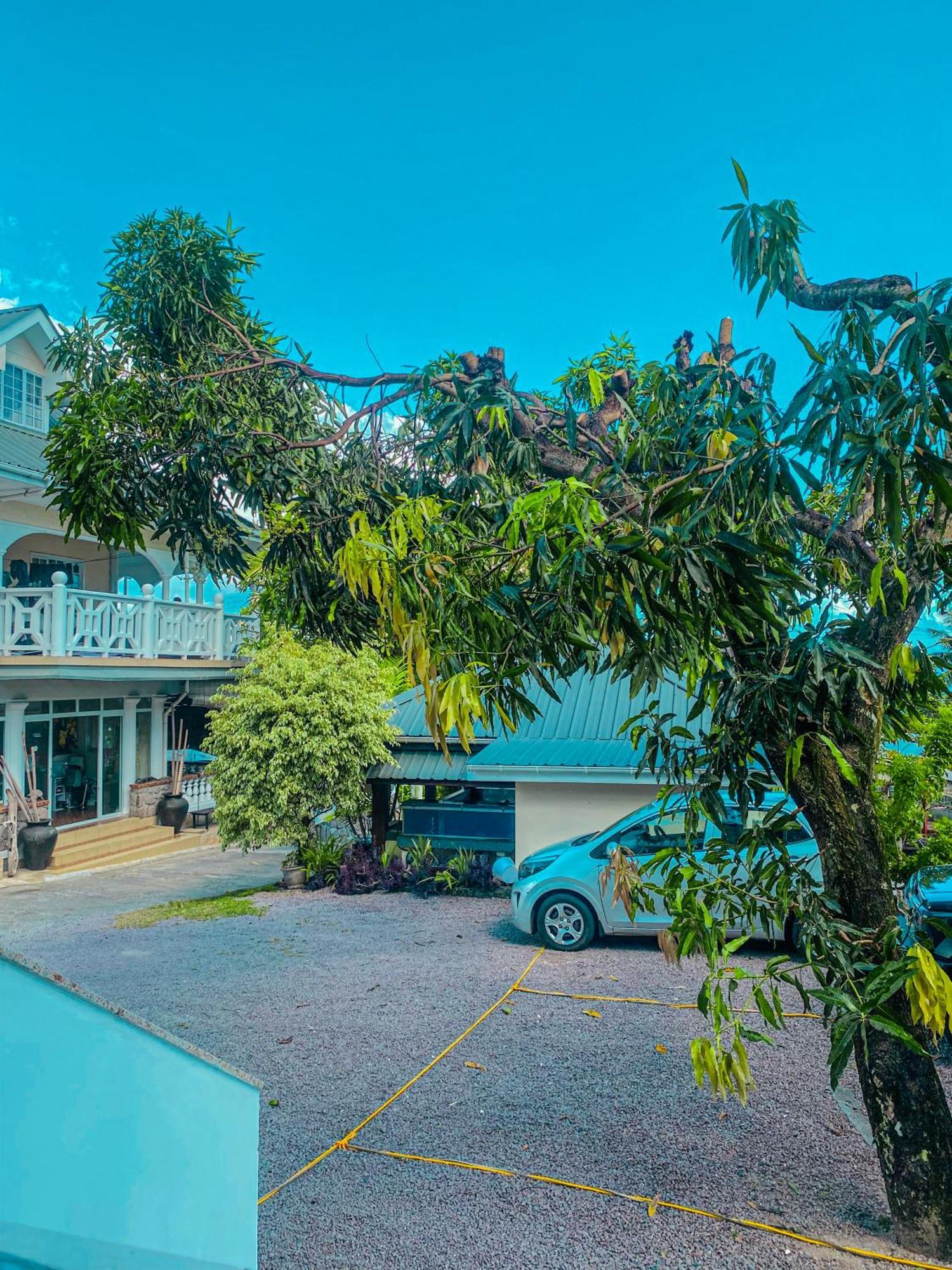 潜水员山林小屋住宿加早餐旅馆 博瓦隆 外观 照片