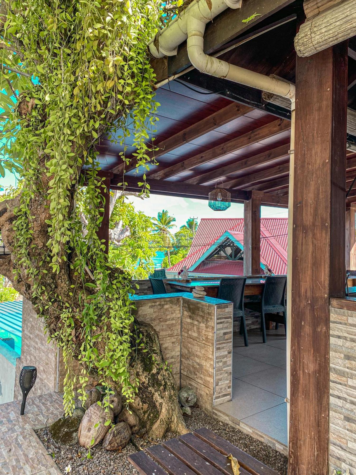 潜水员山林小屋住宿加早餐旅馆 博瓦隆 外观 照片