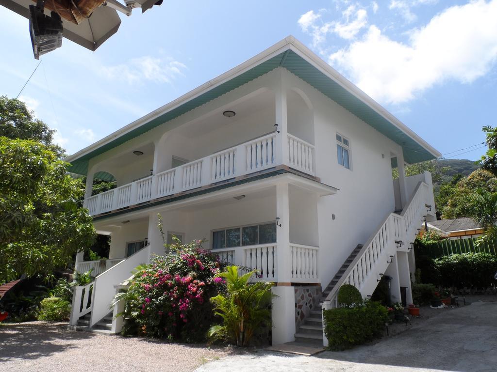 潜水员山林小屋住宿加早餐旅馆 博瓦隆 外观 照片